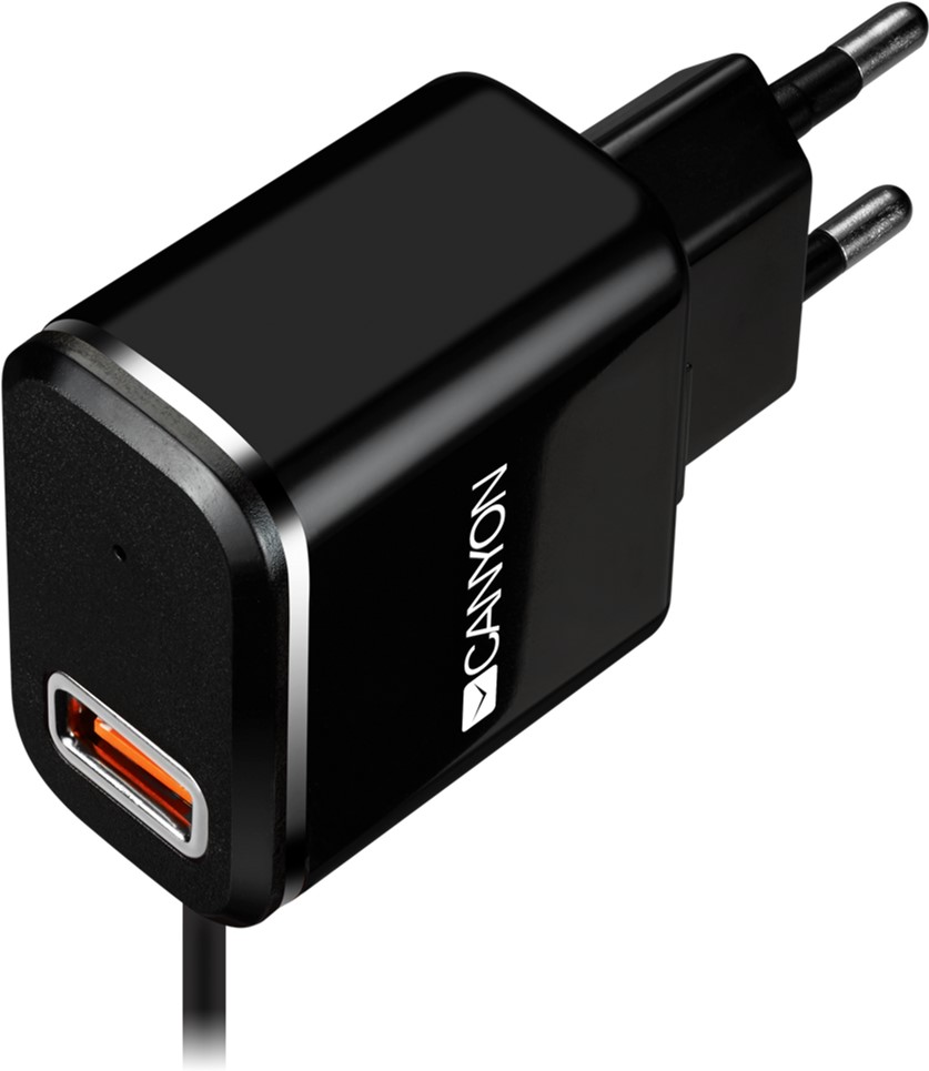 

Сетевое зарядное устройство Canyon USB + встроенный кабель Micro USB 2.1А Black (CNE-CHA041BS)