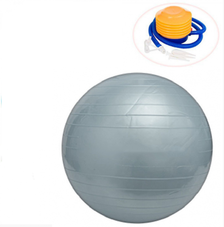 

Мяч для фитнеса Profi 75 см + насос серый (1541)