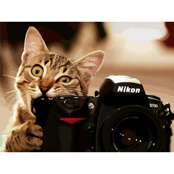 

Набір для розпису "Пухнастий фотограф" 40*50 см *