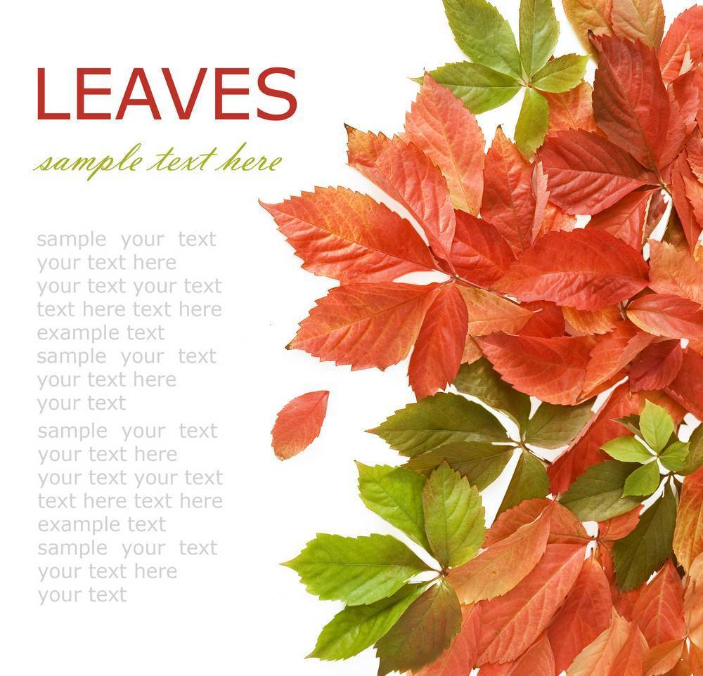 

Картина на холсте LaPrint Поры года 60х60 см