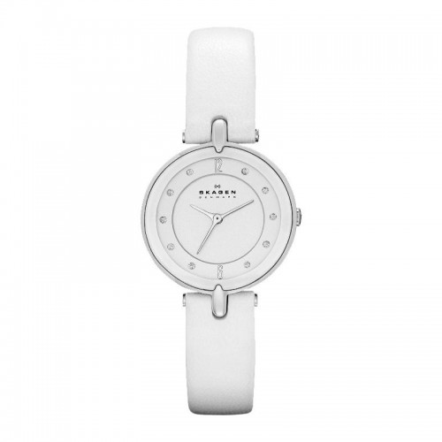 

Часы наручные SKAGEN SKW2012