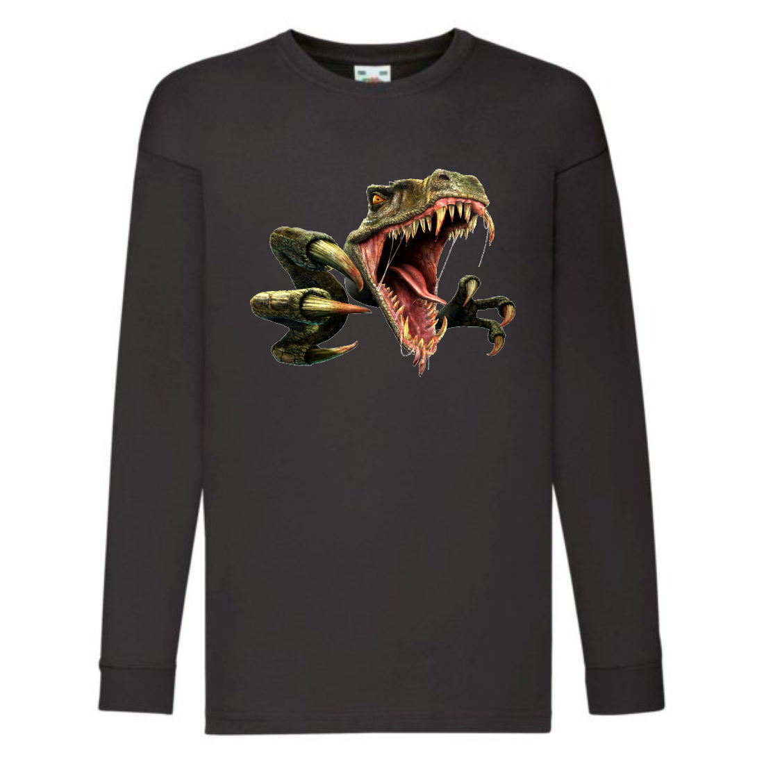 

Лонгслив реглан Парк Юрского Периода 0011 (Jurassic Park) черный (JPK blc 0011) 128 см