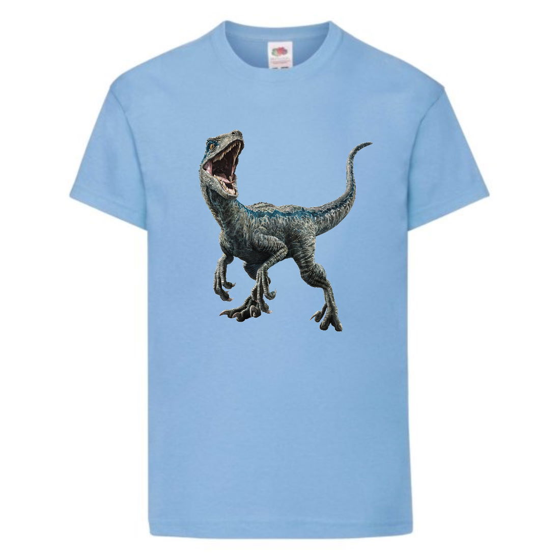 

Футболка детская Парк Юрского Периода 003 (Jurassic Park) голубая (JPK lbl 003) 164 см