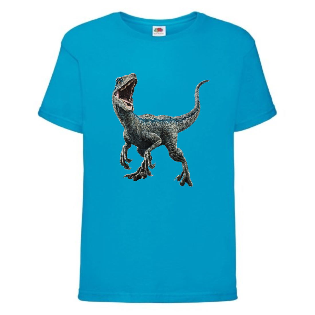 

Футболка детская Парк Юрского Периода 003 (Jurassic Park) синяя (JPK blu 003) 152 см