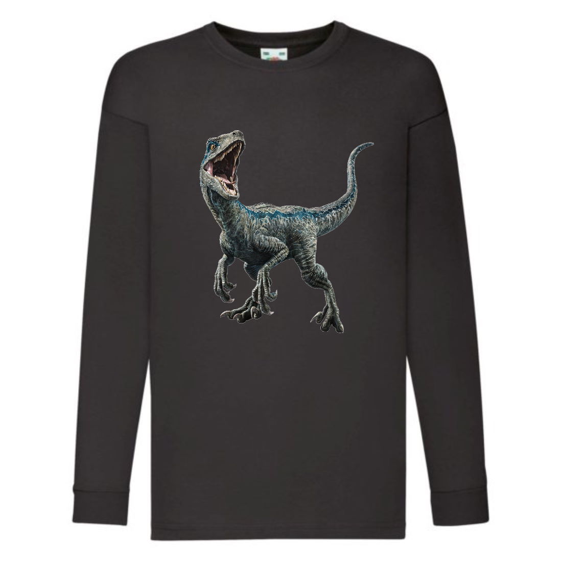 

Лонгслив реглан Парк Юрского Периода 003 (Jurassic Park) черный (JPK blc 003) 104 см