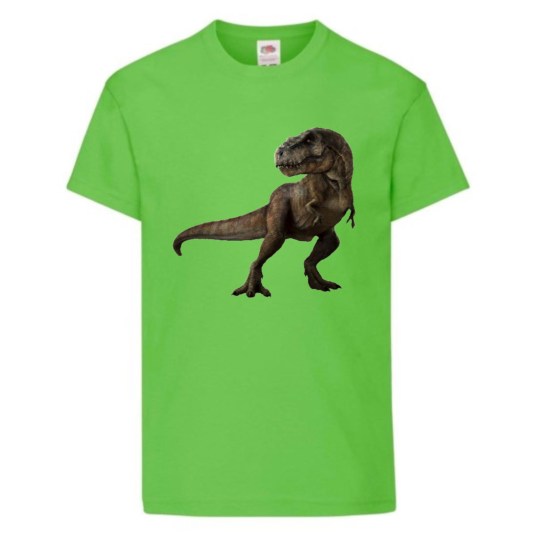 

Футболка детская Парк Юрского Периода 002 (Jurassic Park) светлозеленая (JPK lgrn 002) 152 см