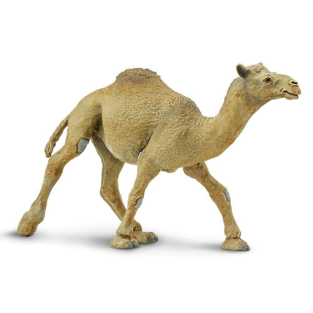

Фігурка Одногорбий верблюд дромедар Safari Ltd 222429