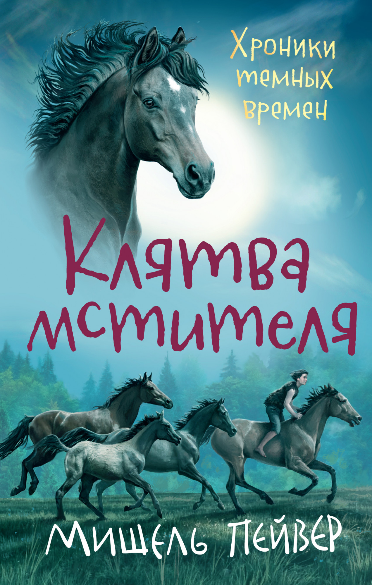 

Хроники темных времен. Клятва мстителя