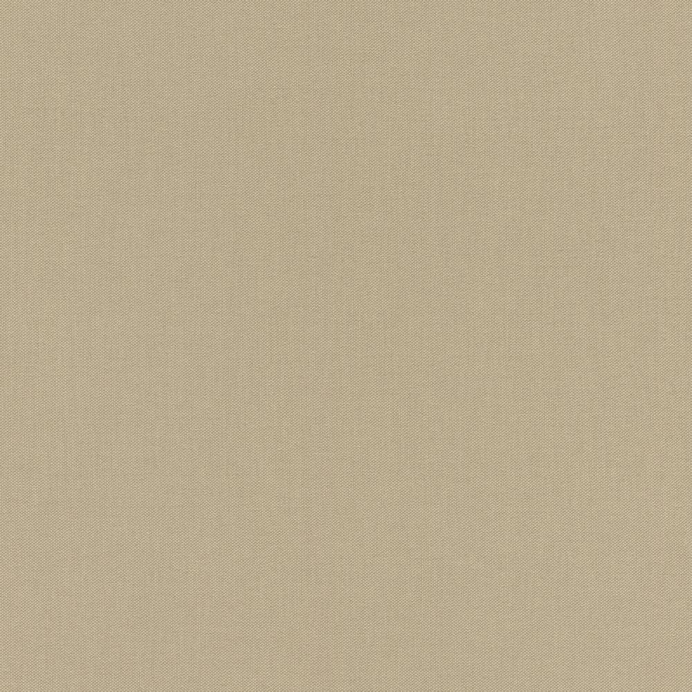 

Виниловые обои Rasch Poetry на флизелиновой основе Коричневый (424096)