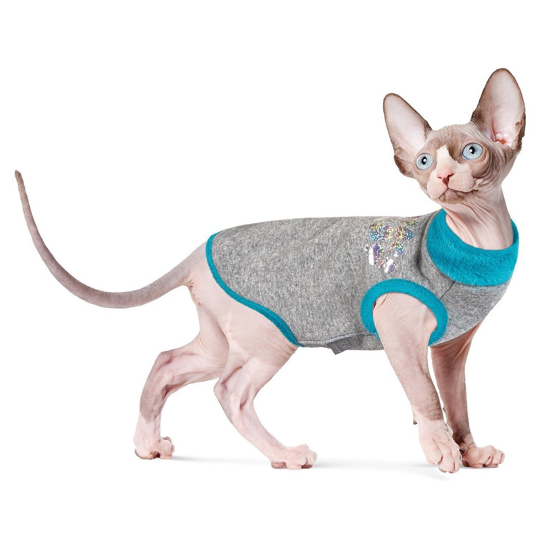 

Свитер для кошек Pet Fashion Bruce S бирюзовый