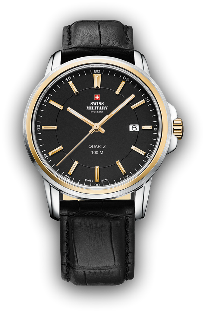 

Мужские часы Swiss Military SM34039.10