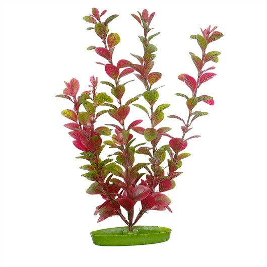 

Искусственное растение для аквариума Hagen Marina Red Ludwigia (Людвигия) 38 см