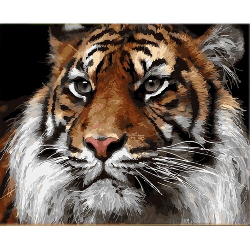 

Картина по номерам Dreamtoys Суровый взгляд 40 x 50 см Dreamtoys BGL-DTS-505