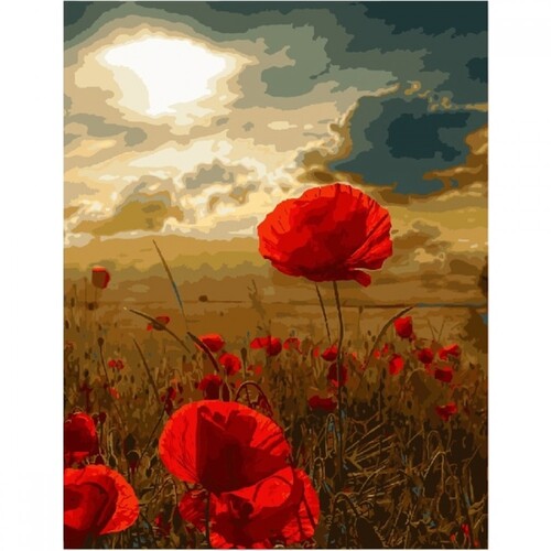 

Картина по номерам Dreamtoys Полевые маки 40 x 50 см Dreamtoys BGL-DTS-472