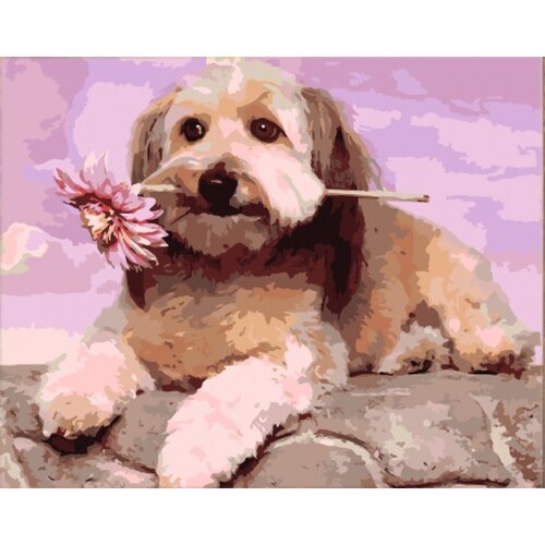 

Картина по номерам Dreamtoys Лохматый друг 40 x 50 см Dreamtoys BGL-DTS-435