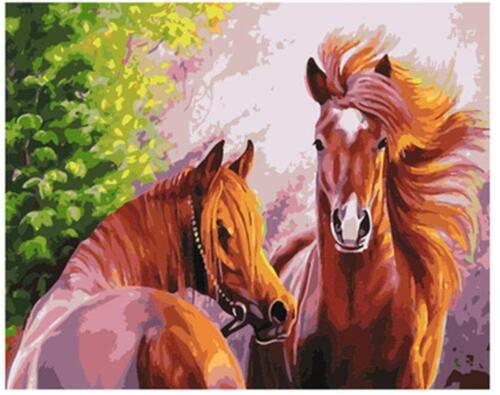 

Картина по номерам Dreamtoys Пара 40 x 50 см Dreamtoys BGL-DTS-462