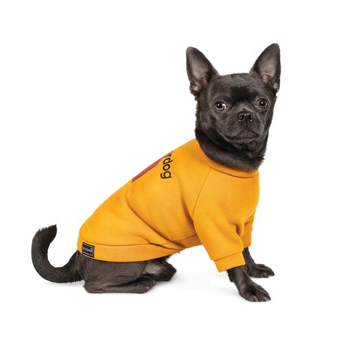 

Толстовка для собак оранжевая Pet Fashion SUPERDOG S Pet Fashion BGL-PF-1159