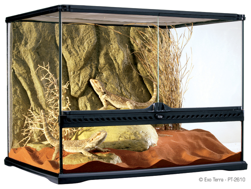 

Террариум Glass Terrarium 60х45х45 см Exo-Terra (Hagen) BGL-ET-12