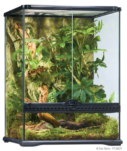 

Террариум Glass Terrarium 45х45х60 см Exo-Terra (Hagen) BGL-ET-07