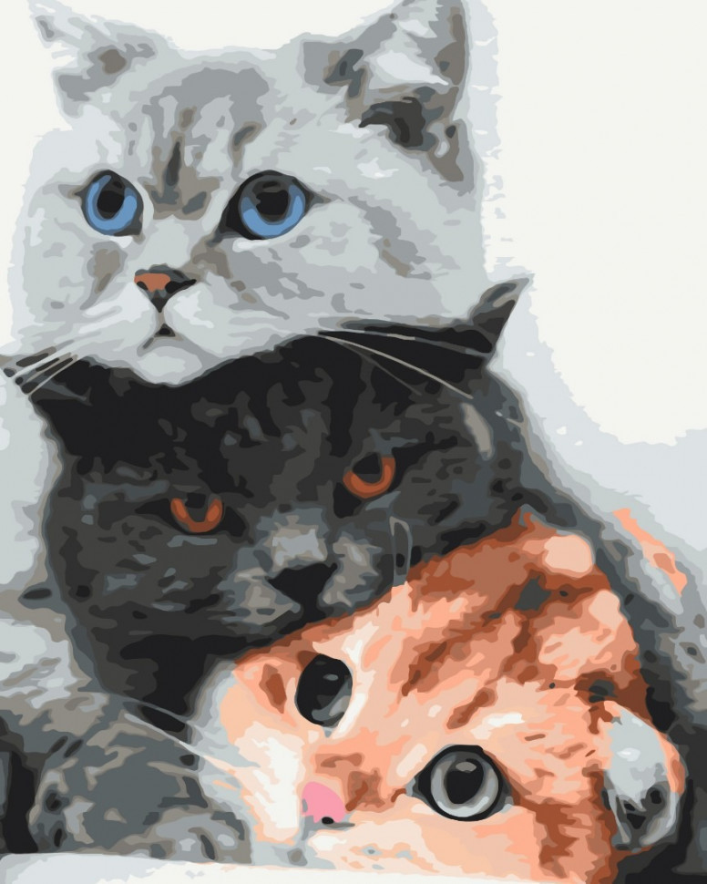 

Картина по номерам Brushme Котики - муркотики BS34826
