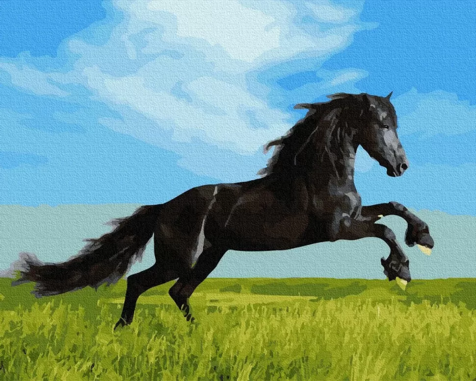 

Картина по номерам Rainbow Art Чёрный скакун GX36088-RA