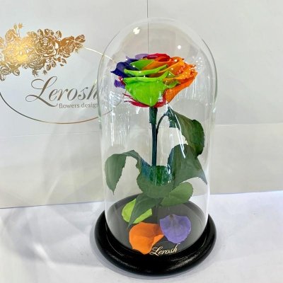 

Яркая Радужная роза в колбе Lerosh - Premium 27 см (SKL15-279535)