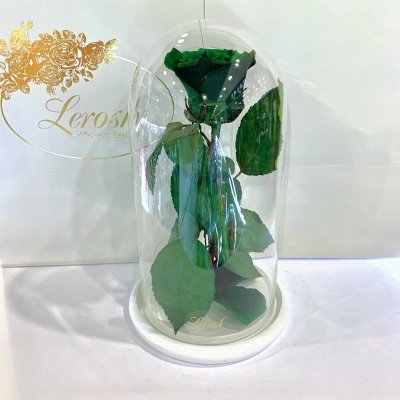 

Зеленая роза в колбе Lerosh - Classic 27 см (SKL15-279578)