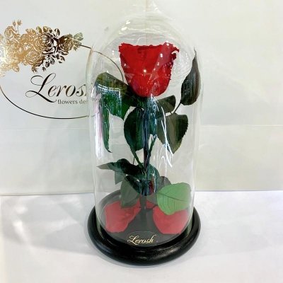 

Красная роза в колбе Lerosh - Classic 27 см (SKL15-279585)