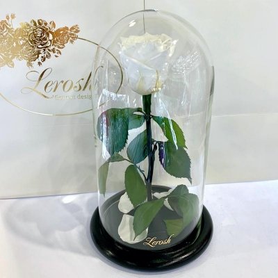 

Белая роза в колбе Lerosh - Classic 27 см (SKL15-279567)