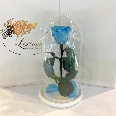 

Голубая роза в колбе Lerosh - Classic 27 см (SKL15-279586)