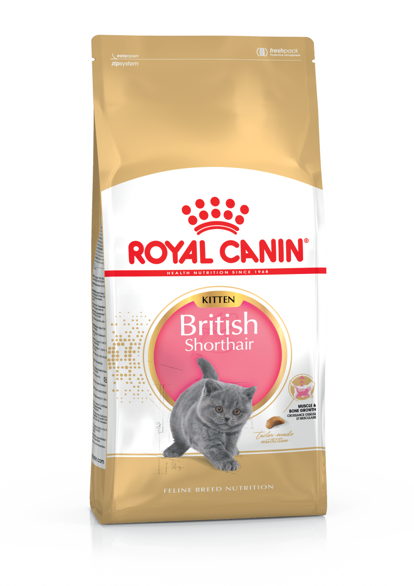 

Сухой корм для котят Royal Canin British Shorthair Kitten 10 кг (2566100)