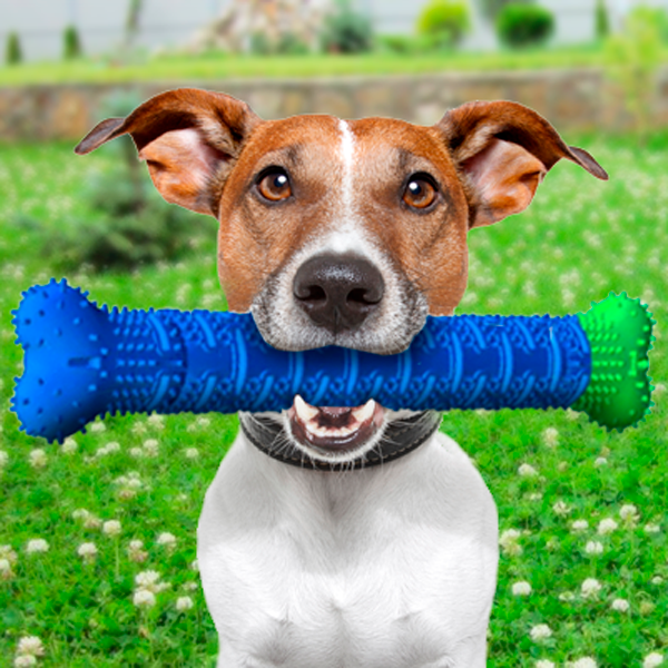 

Щетка для чистки зубов у собак Кость СТ Chewbrush