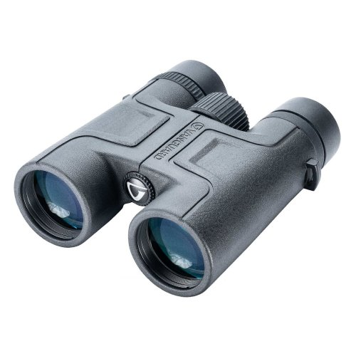 

Бинокль Vanguard Vesta 8x42 WP (DAS301009) (F00242211)