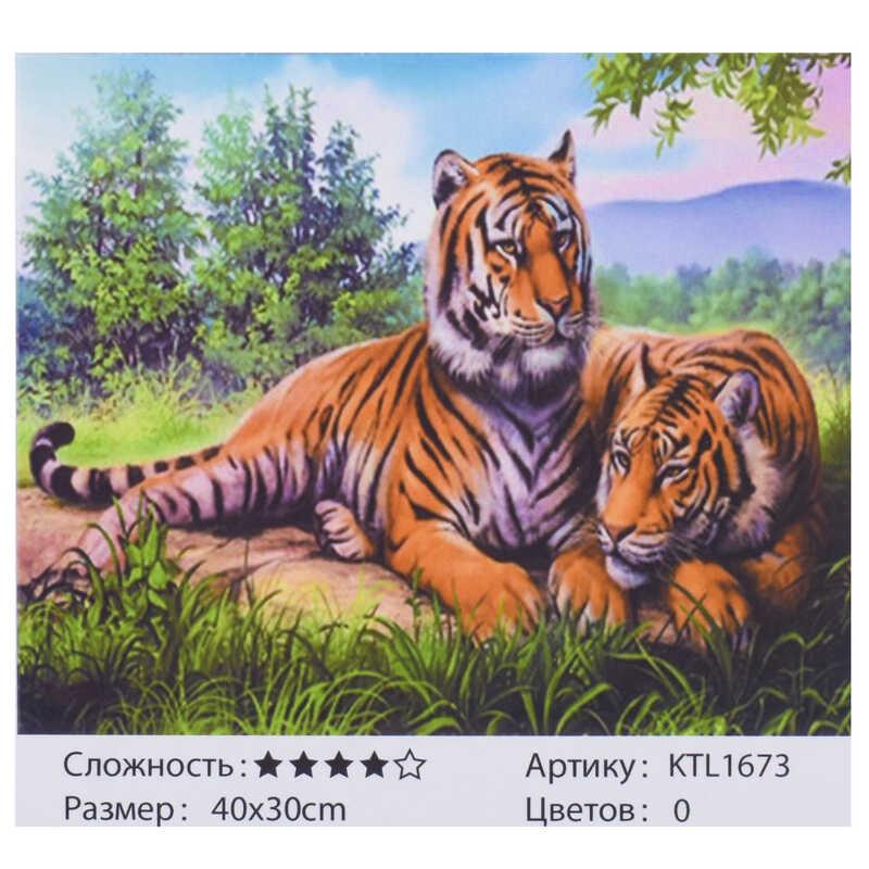 

Картина по номерам KTL 1673 (30) 40х30см, в коробке