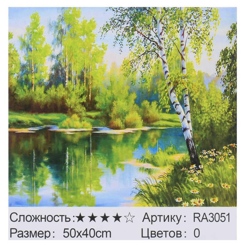 

Картина по номерам RA 3051 (30) 50х40 см, в коробке
