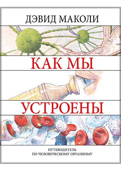 

Как мы устроены 89523