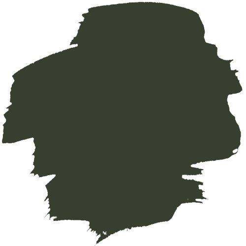 

Акварель жидкая Schmincke AQUA DROP 30мл olive green 570