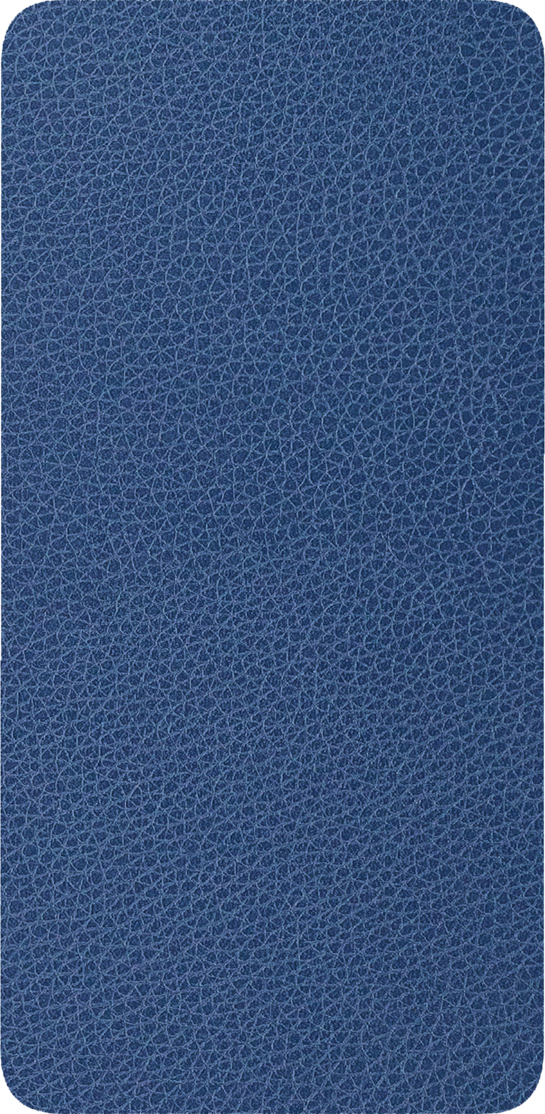 

Защитная пленка на заднюю панель Devia Full 360 Leather для Xiaomi Redmi 9A Blue (DV-XM-RM9A-LTBL1)