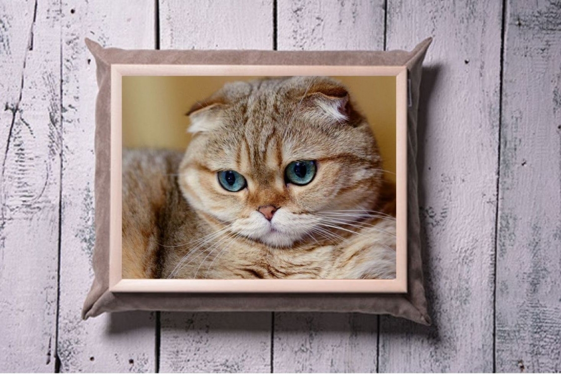 

Поднос FOR с подушкой Кот