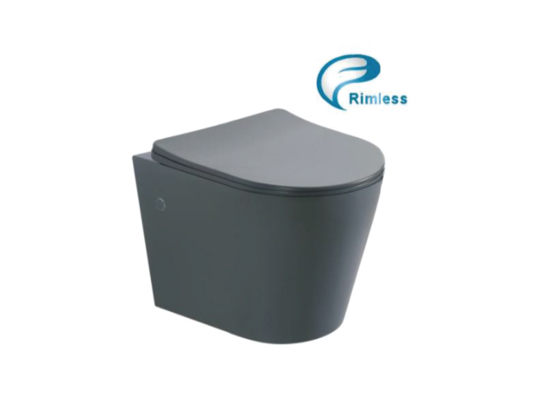 

Унитаз подвесной Rimless с сиденьем ASIGNATURA серый матовый Axiom 97802806