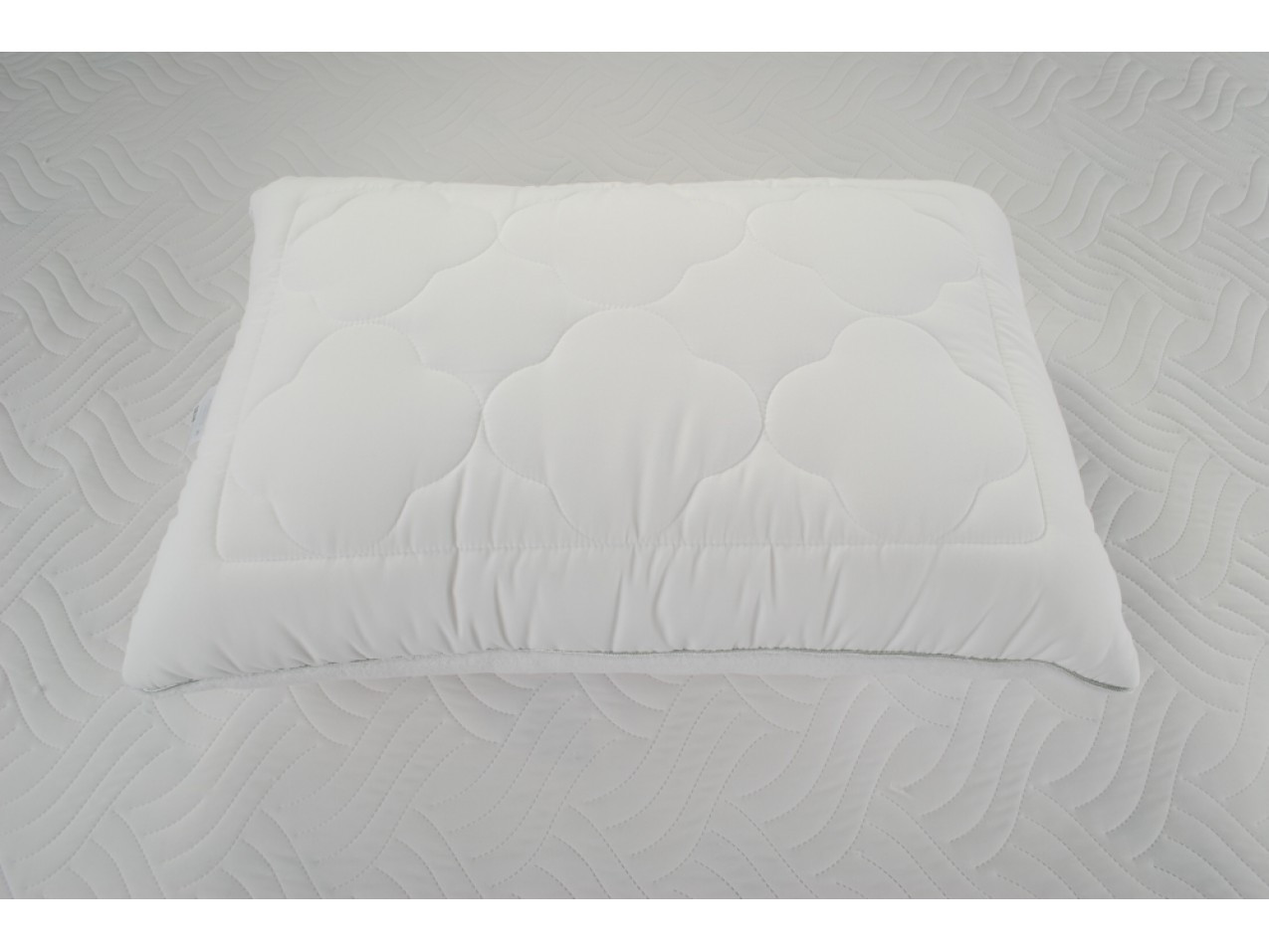 

Подушка Arya Pure Line Sophie 50*70 микрофибра/силиконовое волокно см арт.TR1001124