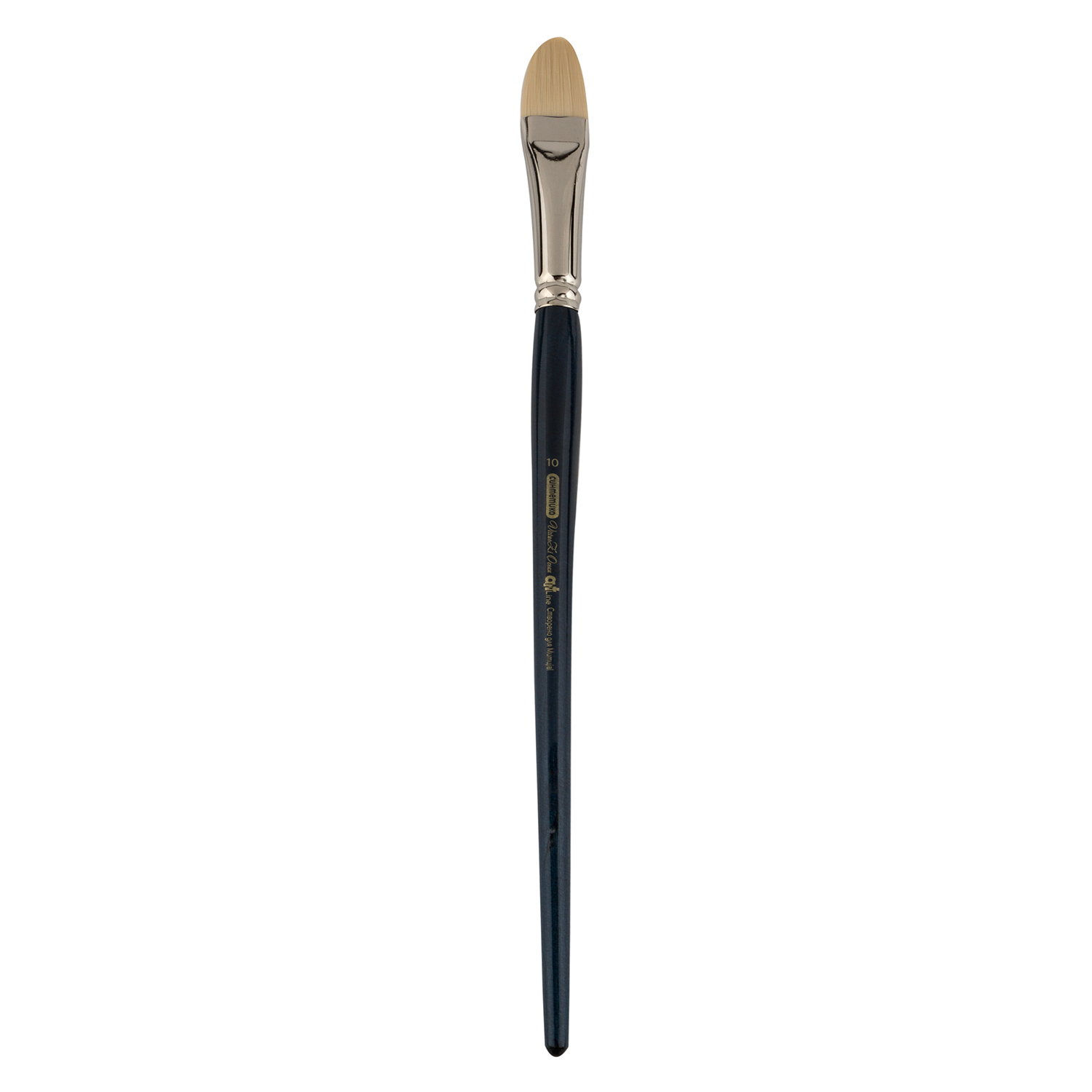 

Кисть синтетика Zibi Ocean 6974 овальная № 10 длинная ручка ART Line (ZB6974SFBT10)
