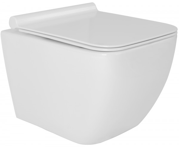 

Унитаз Rea HARY RIMLESS (REA-C6578)