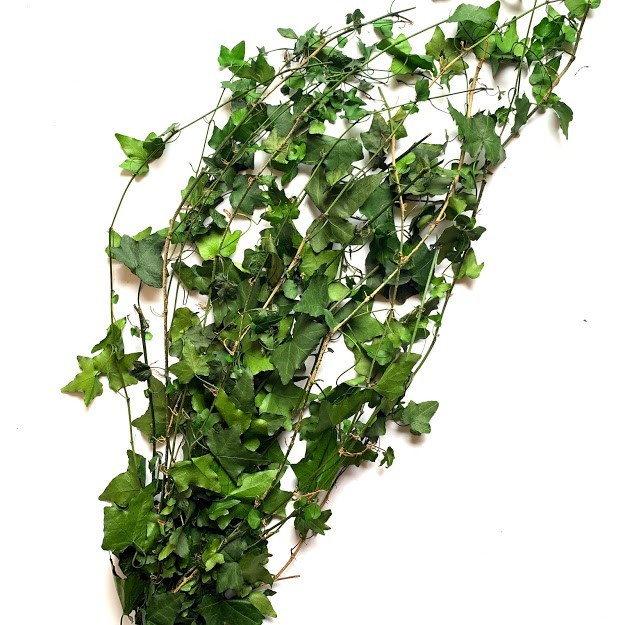 

Стабілізований Хедера плющ Moss Nature 100 гр.