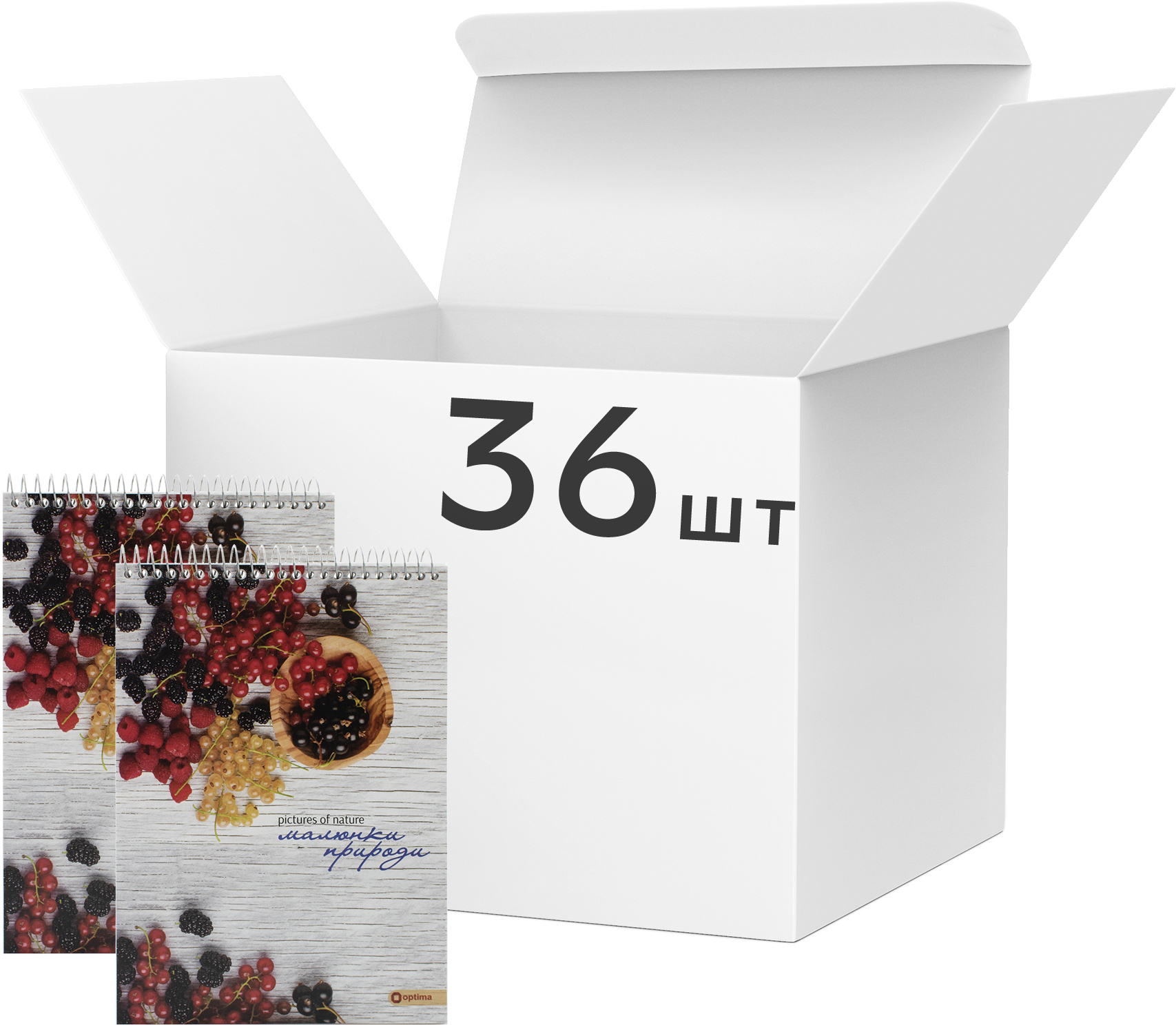 

Набор блокнотов Optima Рисунки природы: Калина А5 в клетку 80 листов 36 шт (O20332-33)