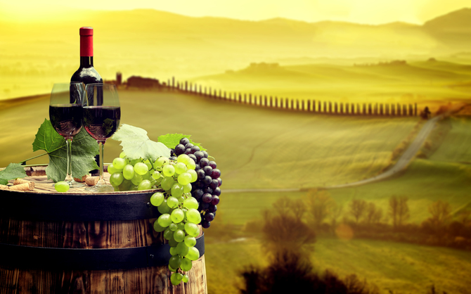 

Фотообои Еда и напитки 'Винная долина' (1875) , Деко