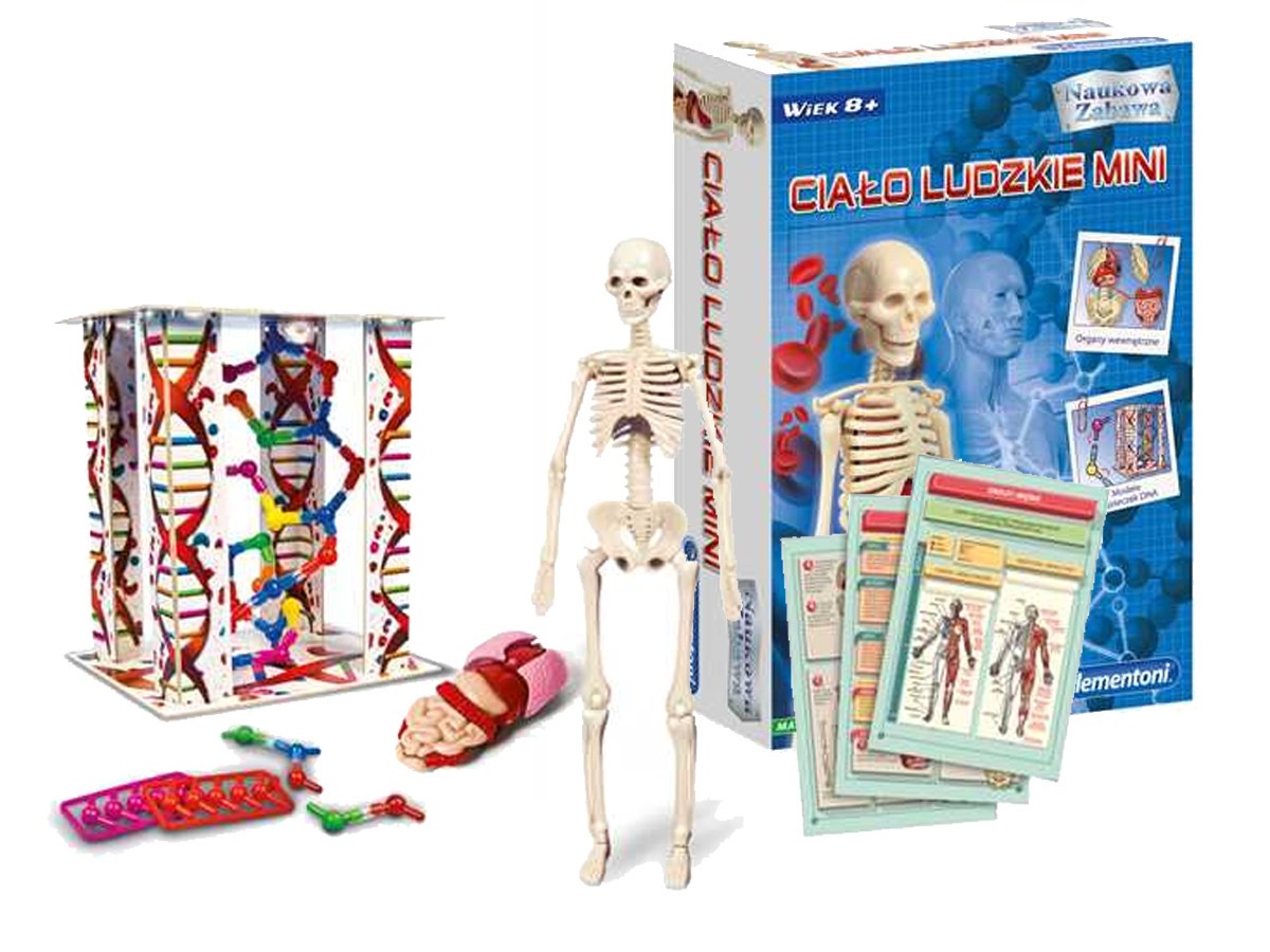 

Мини-набор научно-игровой CLEMENTONI 3D модель человеческого тела (50515)