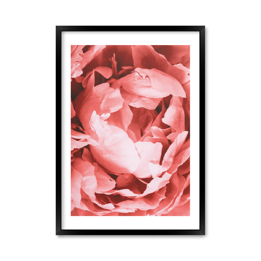 

Постер "Бутон" без стекла 59.6 x 84 см в чёрной рамке