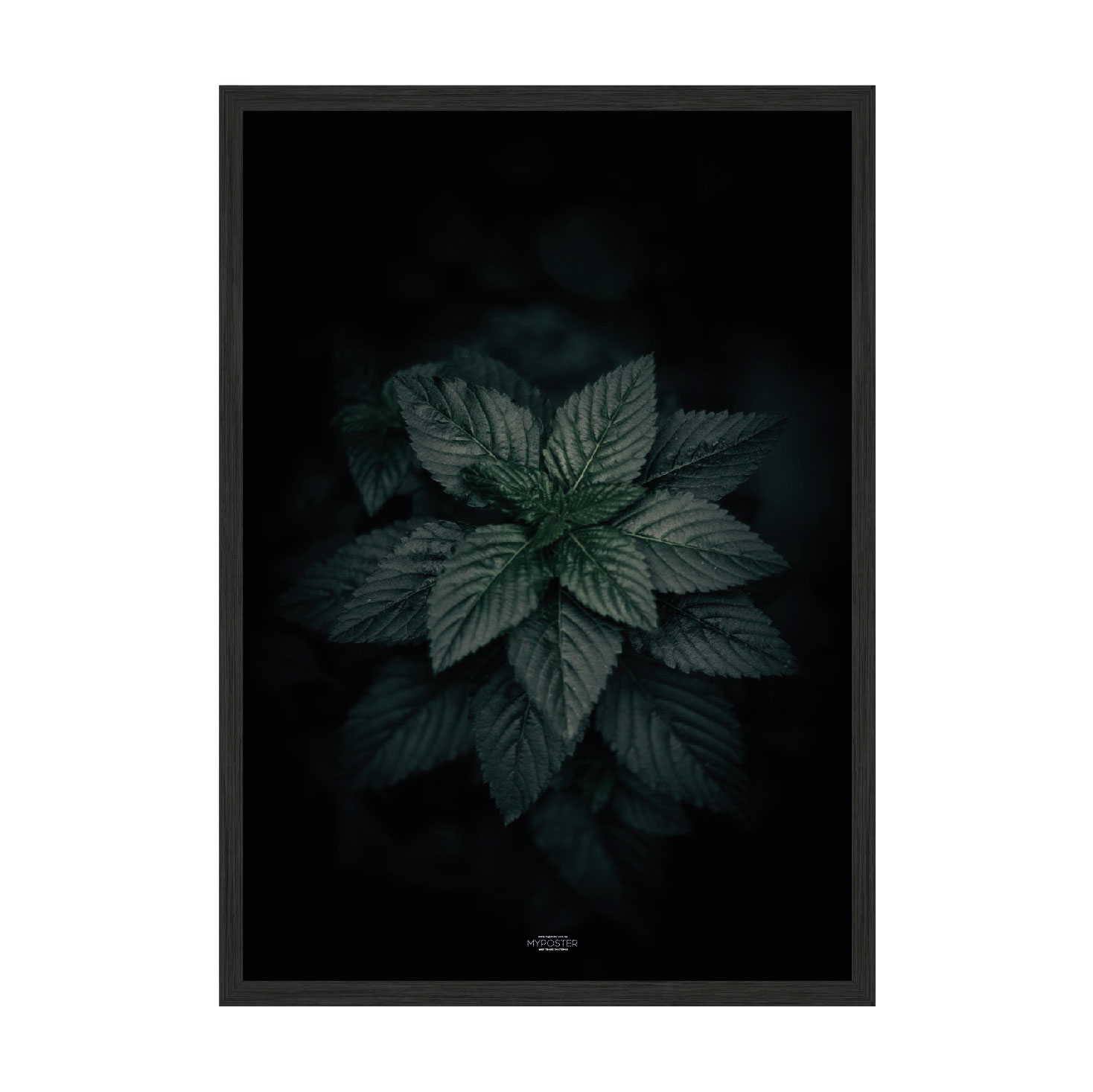 

Постер "Dark Green" с антибликовым стеклом 59.6 x 84 см в чёрной рамке