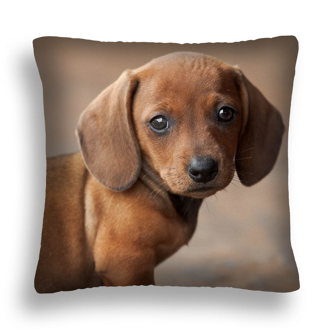 

Подушка Wenecja с принтом Щенок таксы 40 х 40 см (PS07)